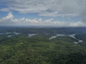 Paraná é líder nacional em sustentabilidade ambiental; confira