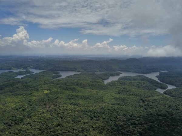 Paraná é líder nacional em sustentabilidade ambiental; confira