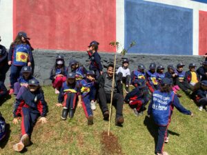 Estudantes aprendem a preservar o meio ambiente plantando árvores