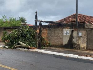 Temporal: Apucarana registra chuva e ventos de 72 Km/h; saiba mais