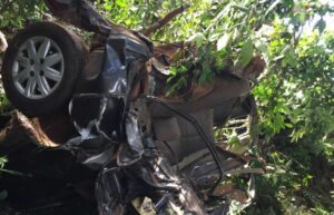 Homens morrem após carro bater em árvore na PR-272 em Faxinal; veja