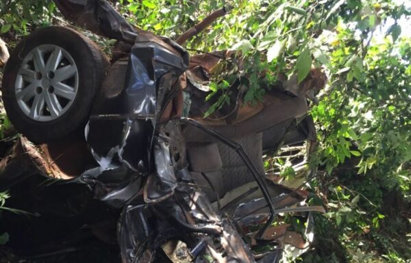 Homens morrem após carro bater em árvore na PR-272 em Faxinal; veja