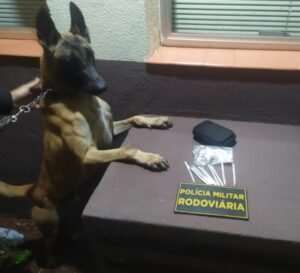 Cão de faro encontra maconha com casal em ônibus na região