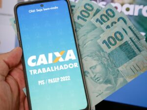 Quem tem direito ao PIS e como consultar pelo CPF online?