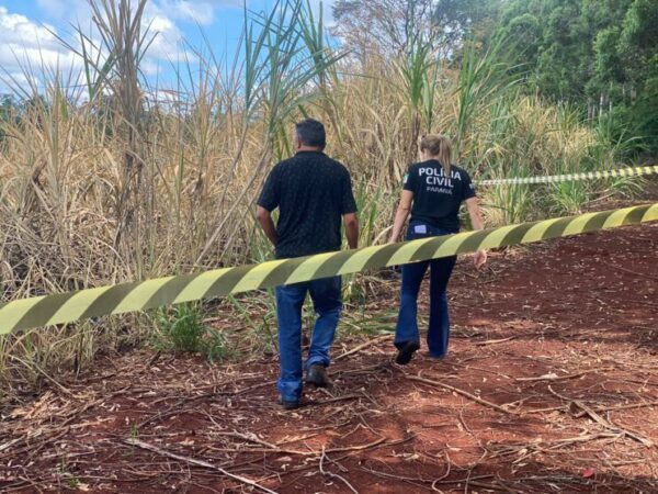 Corpo carbonizado é encontrado em estrada rural de Cambira