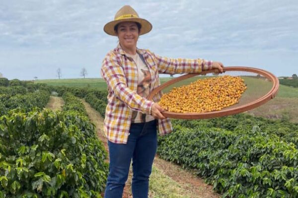 Após ano premiado, mulheres ajudam o Paraná a ser celeiro do café especial