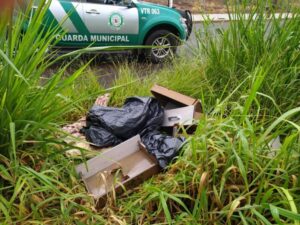 GM identifica pessoa responsável por descartar resíduos em Arapongas