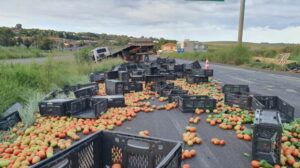 Caminhão carregado com tomates tomba na BR-376, em Cambira