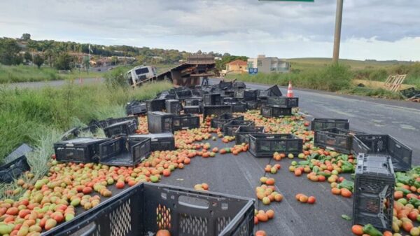 Caminhão carregado com tomates tomba na BR-376, em Cambira