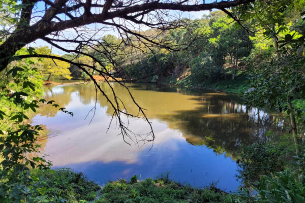 Com investimento de R$ 2,3 milhões, IAT revitaliza Parque dos Pássaros, em Arapongas