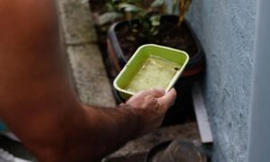 Com 144 novos casos de dengue, Apucarana entra em epidemia