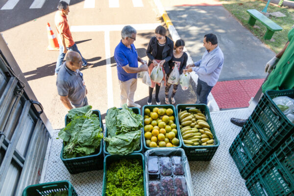 Programa Feira Verde chega ao Distrito de Vila Reis em Apucarana