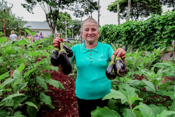 Programa de hortas solidárias buscará certificação de cultivo orgânico em Apucarana