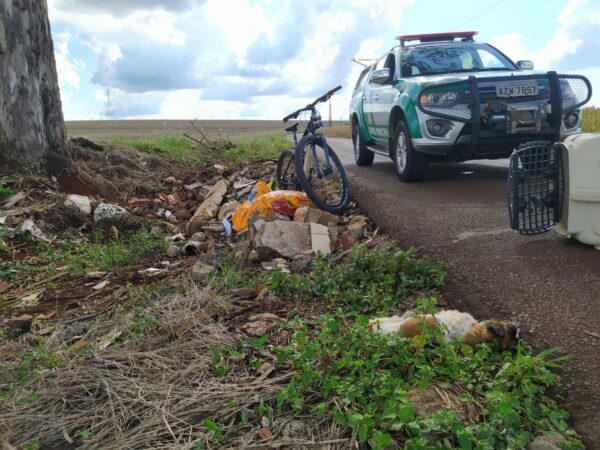 Abuso e maus-tratos de animais centralizam ocorrências no Grupamento de Defesa Ambiental de Arapongas