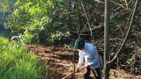 Florestópolis – Cuidando do Meio Ambiente