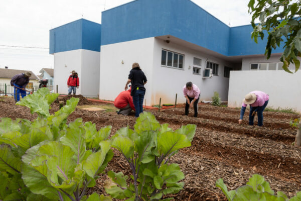 Apucarana estrutura nova horta voltada à saúde mental