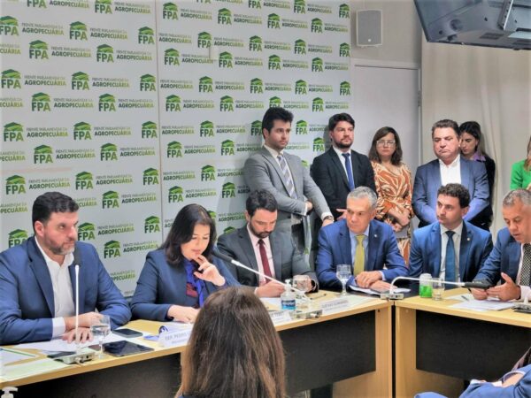 Onofre e Rafael Cita acompanham Lupion em reunião com Simone Tebet