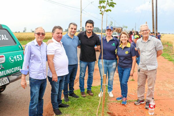Arapongas recebe plantio de 200 mudas de Ipê no prolongamento da Avenida Rouxinol