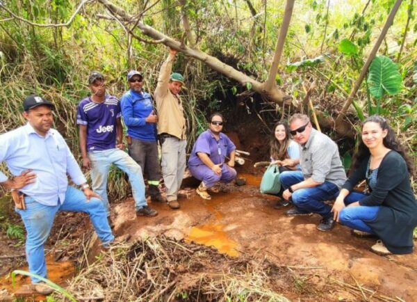 Recuperação de nascente e plantio de mudas nativas marcam o Dia da Árvore em São Pedro do Ivaí