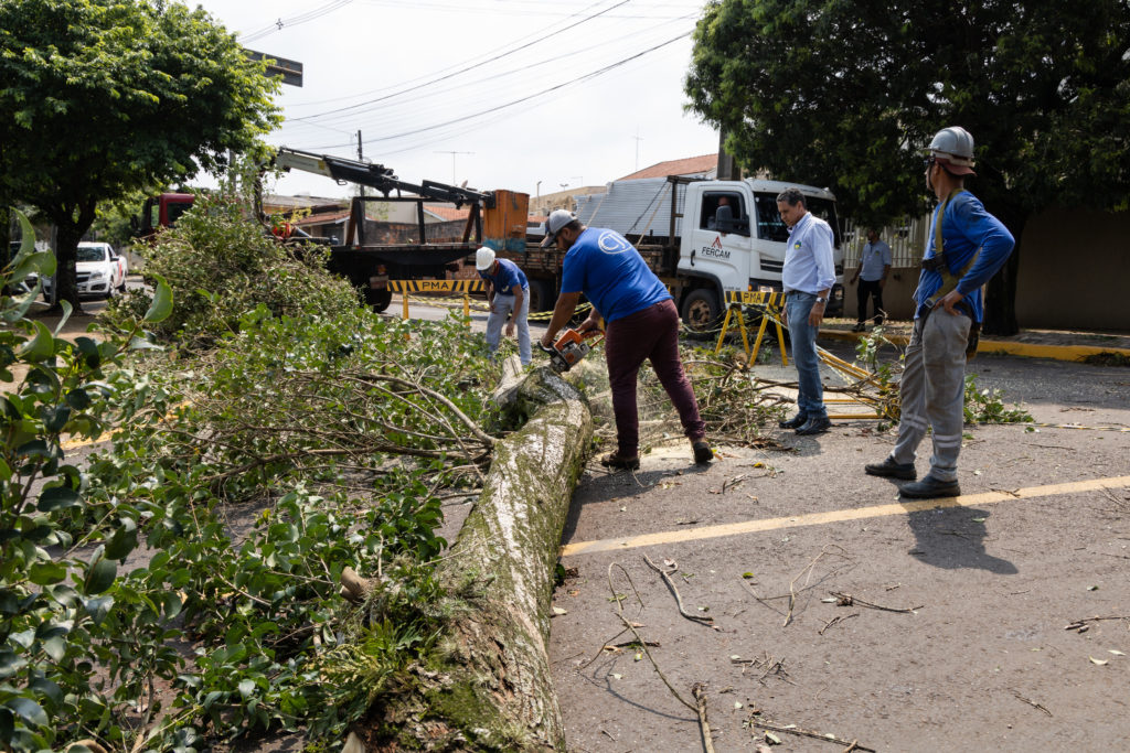 Vendaval derrubou mais de 60 árvores e danificou 20 residências em Apucarana