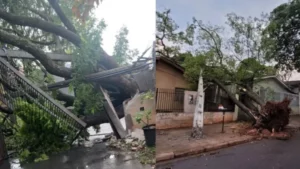 Temporal causa destruição em Maringá