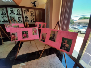 Exposição outubro rosa fica no saguão da Prefeitura de Rolândia até 30/11