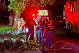 Trabalhador de 42 anos morre eletrocutado ao podar árvore à noite em Apucarana