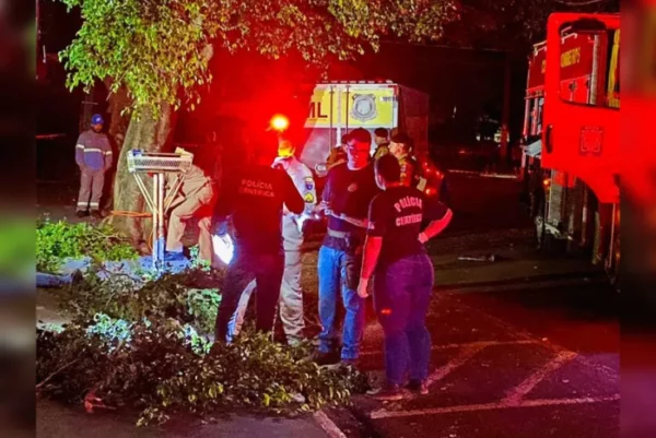 Trabalhador de 42 anos morre eletrocutado ao podar árvore à noite em Apucarana