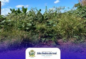 Proprietários de terrenos e de veículos em estado de abandono são Notificados em São Pedro do Ivaí