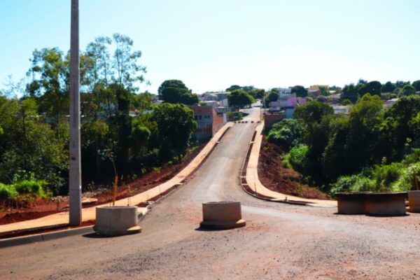 Obra da Rua Patativa em Arapongas chega na reta final e recebe plantio de 600 mudas de árvores