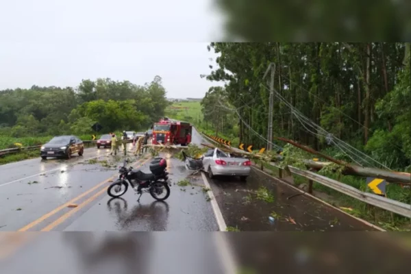 Árvore cai sobre carro durante temporal em Arapongas; há duas vítimas