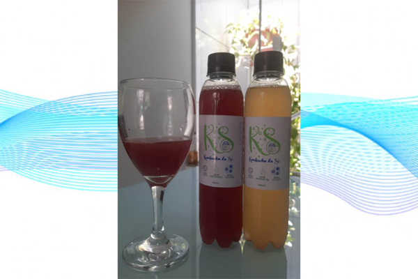kombucha-bacterias