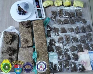 GM e PM de Arapongas prendem dois homens e apreendem 2,4 kg de maconha