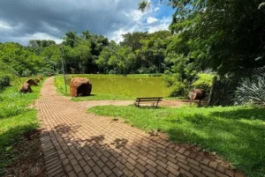 Kaloré e São João do Ivaí  ganham novos parques urbanos