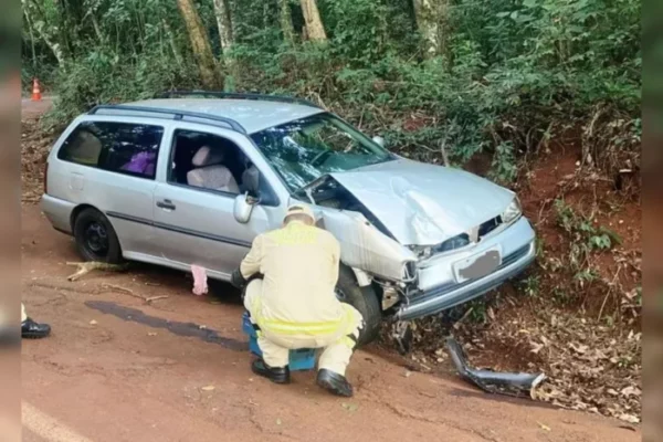 Mulher é presa por embriaguez após capotar carro com seis crianças em Apucarana