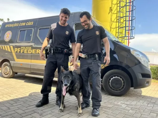 Cão policial auxilia tratamento de menores com dependência química