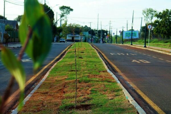 Prefeitura de Arapongas inaugura Avenida Guarani, Meu Campinho e Centro Esportivo em Aricanduva, neste sábado, 10