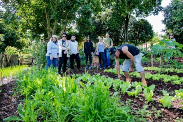 Alunos da Unespar visitam Hortas Solidárias de Apucarana
