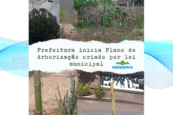 Borrazópolis Inicia Plano de Arborização para Transformar sua Paisagem Urbana