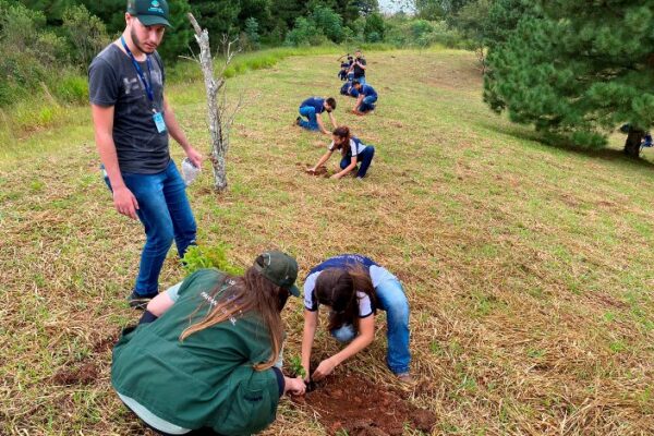 Conservação: no Dia da Água, Estado restaura 16 nascentes de 11 municípios