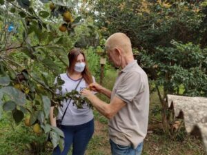 Apucarana – Curso gratuito ensinará técnicas de criação de abelhas sem ferrão