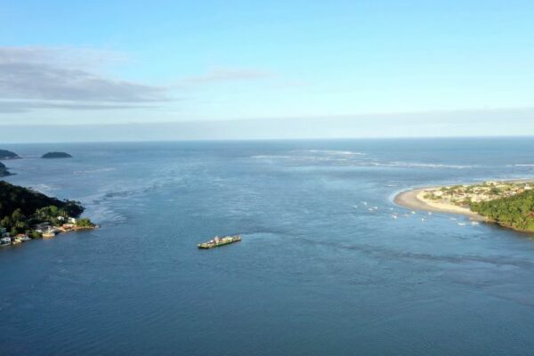 Nova ponte deve proporcionar retorno de fauna marinha à Baia de Guaratuba