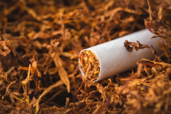 Mulher engole pacote de fumo por medo de ir presa e ficar sem cigarro em Arapongas