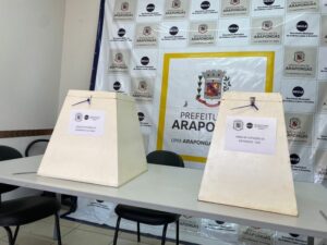 Conselho Municipal da Cultura realiza eleição para gestão 2024-2026