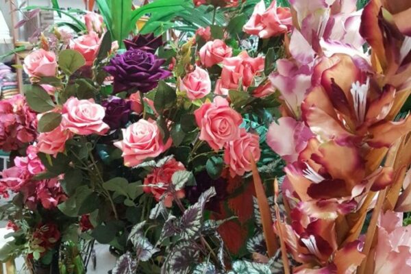Dia das Mães: produção de rosas dobrou no Paraná na última década