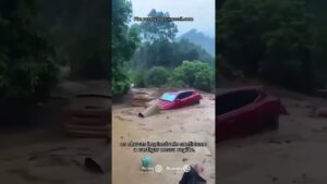 Rotary em Ação no Rio Grande do Sul