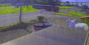 “Não percebi a batida”, diz motorista que atingiu moto em Apucarana