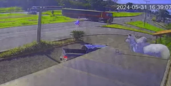 “Não percebi a batida”, diz motorista que atingiu moto em Apucarana