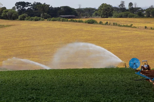 Governador sanciona lei que institui política de segurança hídrica na agricultura no Paraná