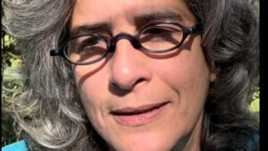 Fogo consome fazenda de Lúcia Veríssimo após invasão